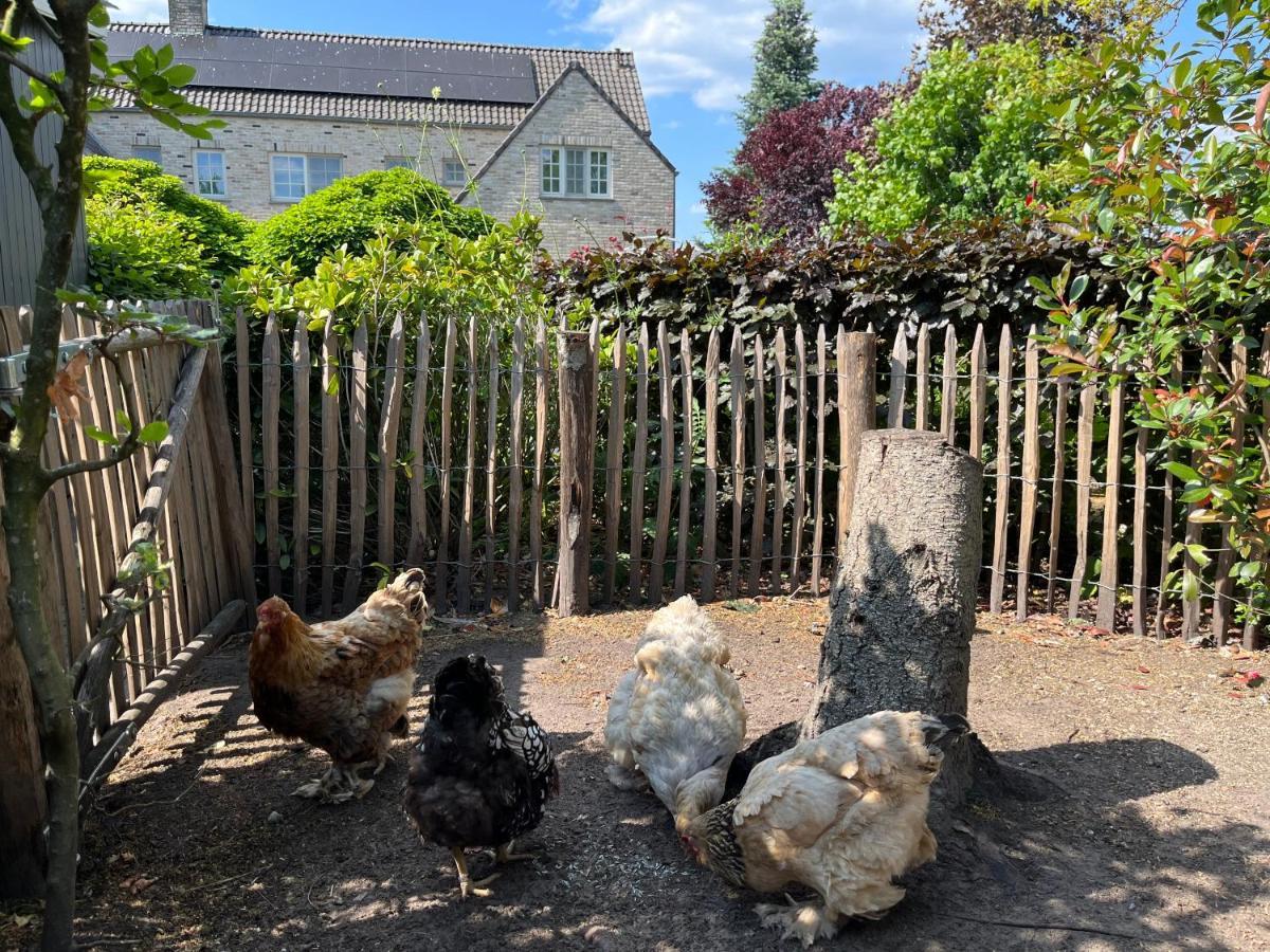 Sfeervol Familielandhuis In De Groene Kempen Baarle-Hertog Экстерьер фото