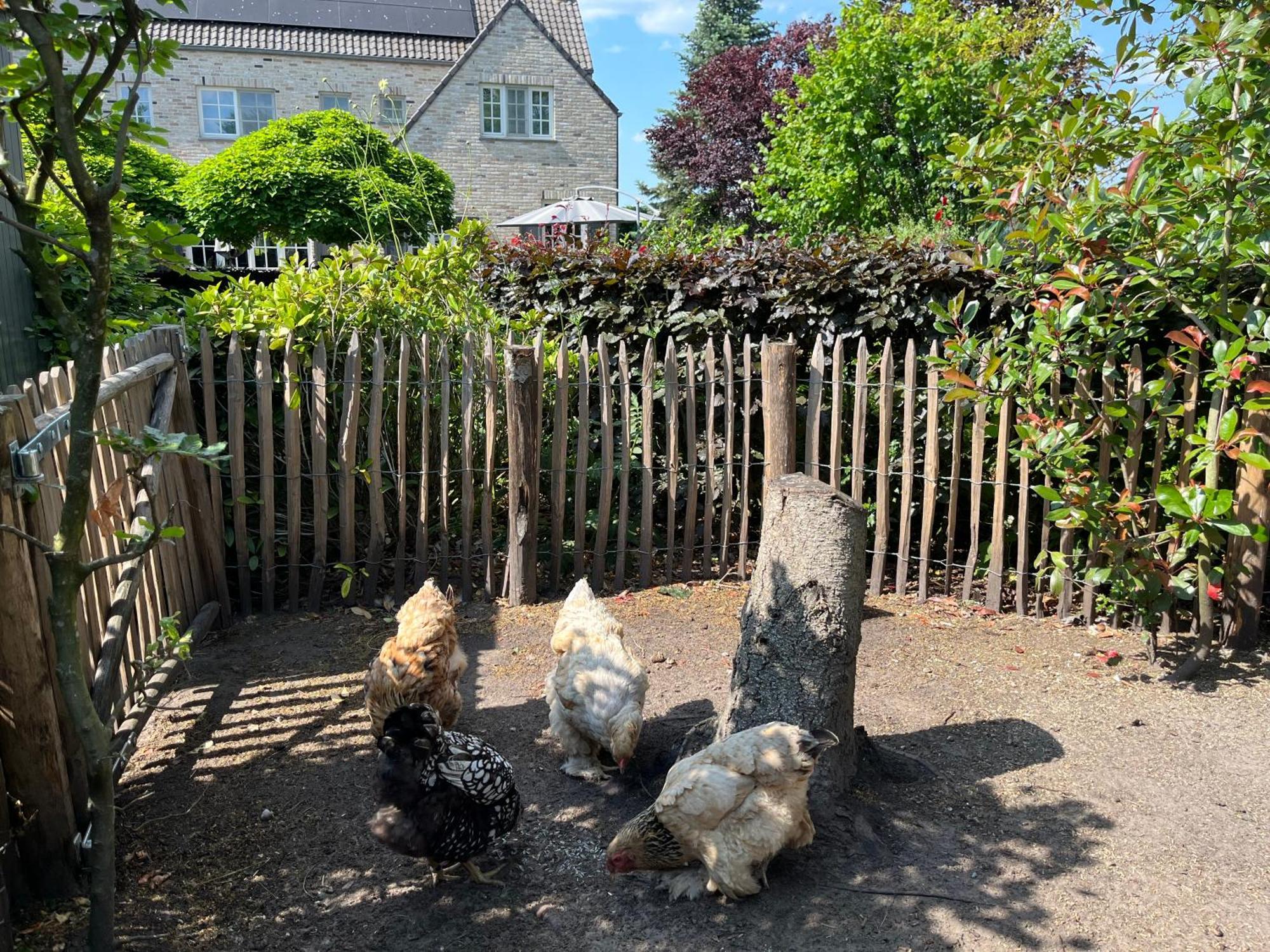 Sfeervol Familielandhuis In De Groene Kempen Baarle-Hertog Экстерьер фото
